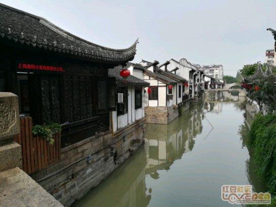 虫虫助手下载