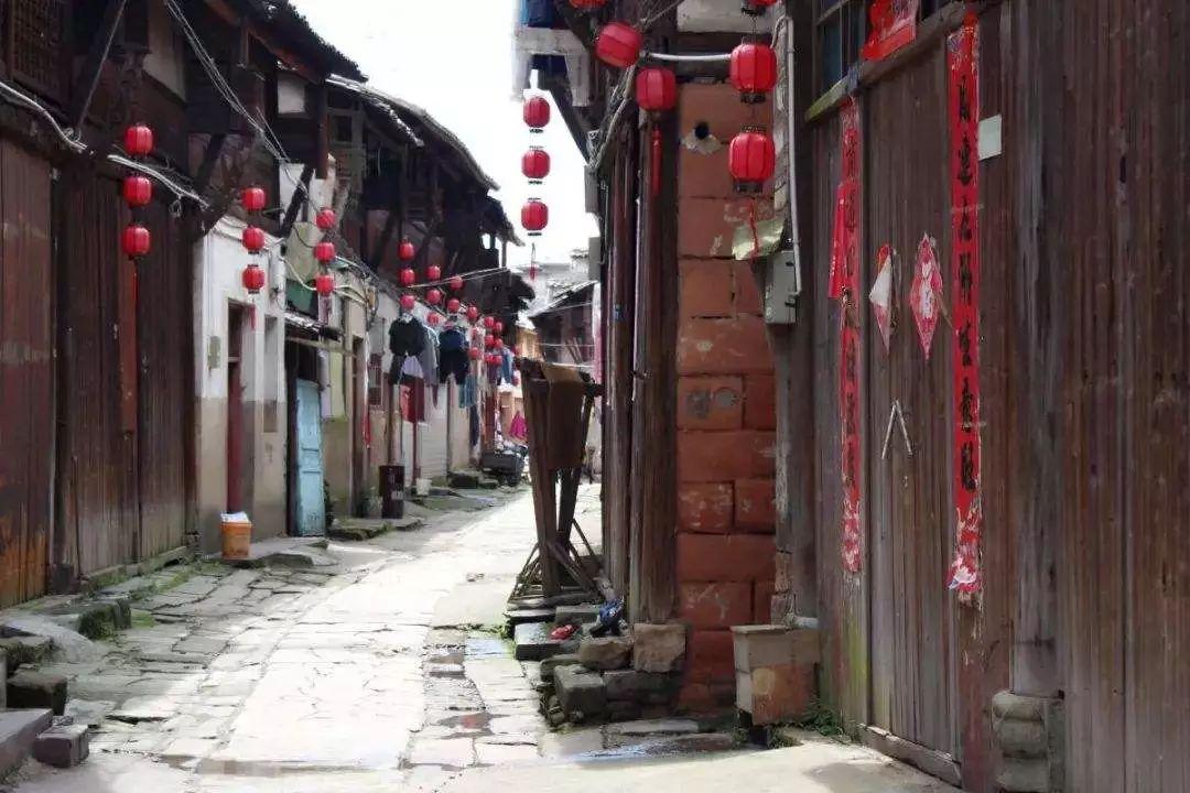 月光影视
